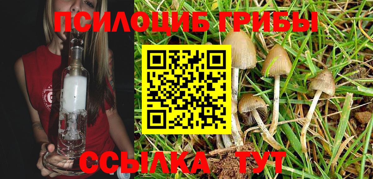 Псилоцибиновые грибы Psilocybine cubensis  Галлюциногенные грибы Magic Shrooms  Вход с VPN  Сердобск 